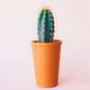 product 08